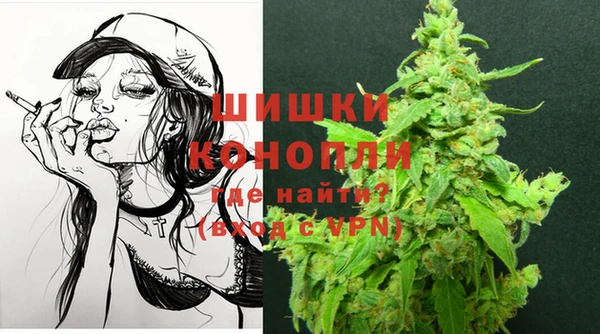 дмт Заводоуковск