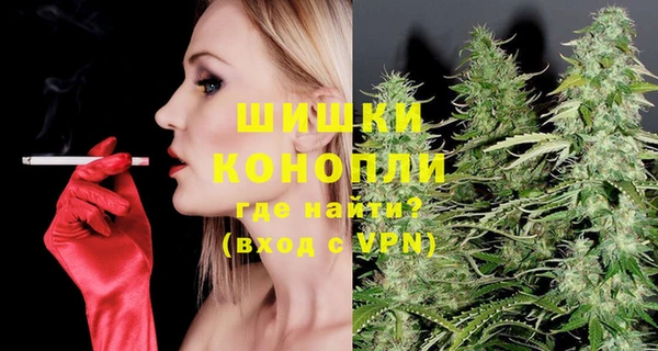 дмт Заводоуковск