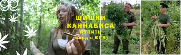 дмт Заводоуковск