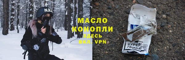дмт Заводоуковск