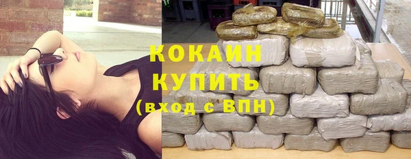 дмт Заводоуковск