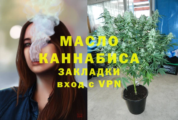дмт Заводоуковск