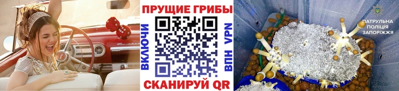 Галлюциногенные грибы Magic Shrooms Лениногорск
